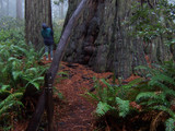 North Cascades National Park