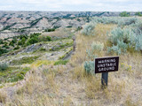 Theodore Roosevelt National Park