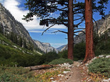 Kings Canyon National Park