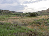 Theodore Roosevelt National Park