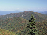 Shenandoah National Park