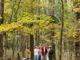 Congaree National Park