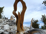 Great Basin National Park