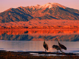 Great Sand Dunes National Park