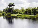 Everglades National Park